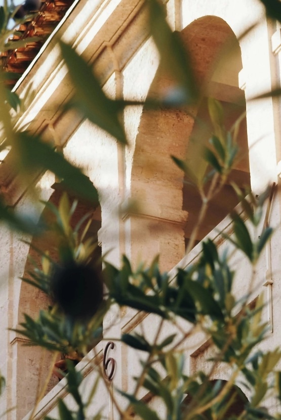 Processo di produzione olive